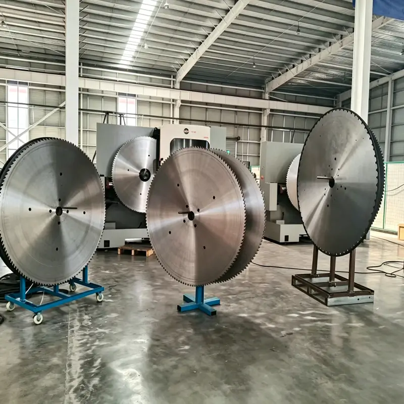 TCT circular saw blades displayed in the factory